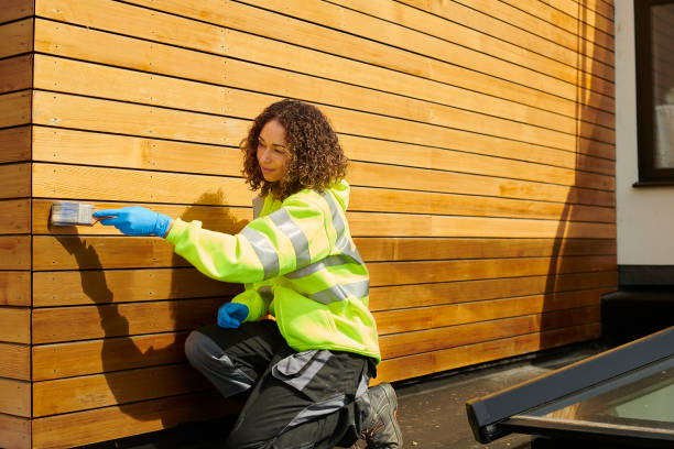 Best Vinyl Siding Installation  in East Aurora, NY